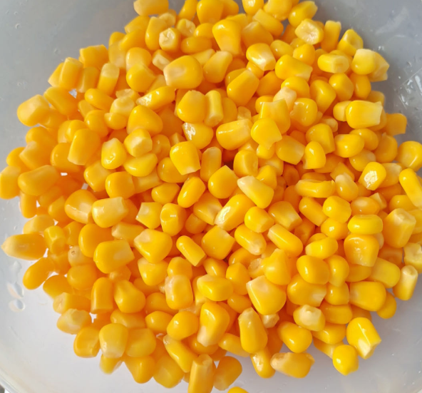 I am the Title I am a free bird